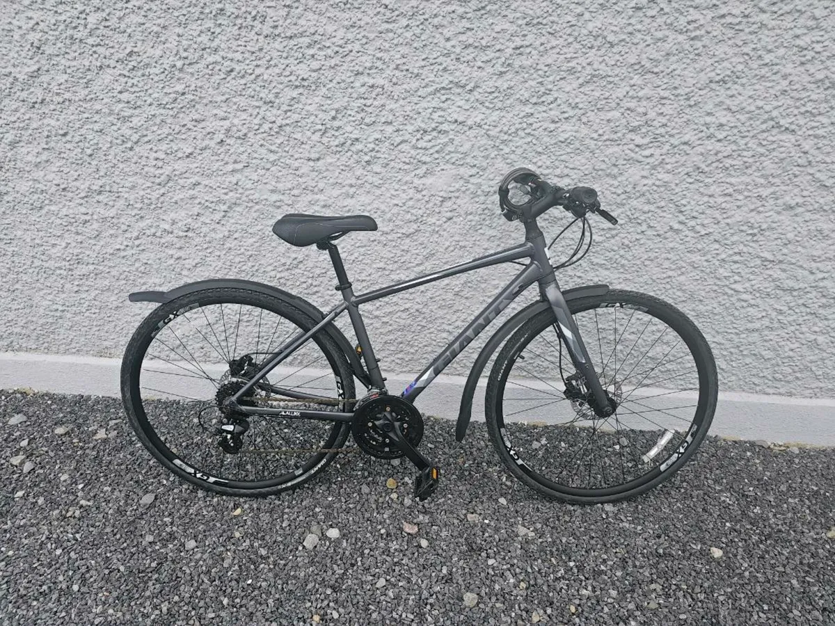 Giant Escape 2 Disc Mens Hybrid Bike - Matte - Image 1