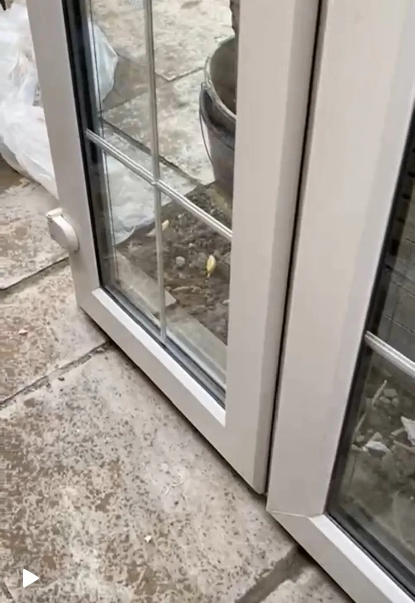 Patio doors - Image 1