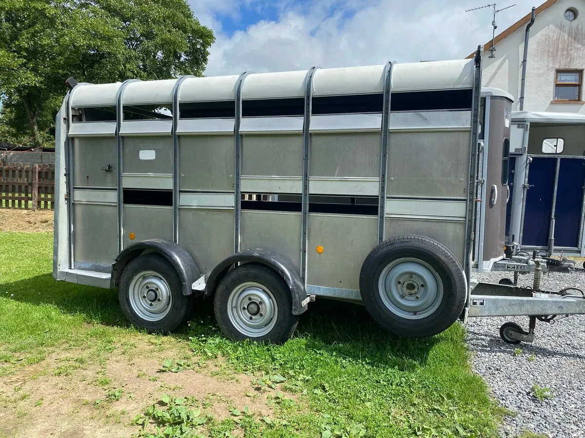 Iforwilliams 12 x 6 livestock trailer - Image 1