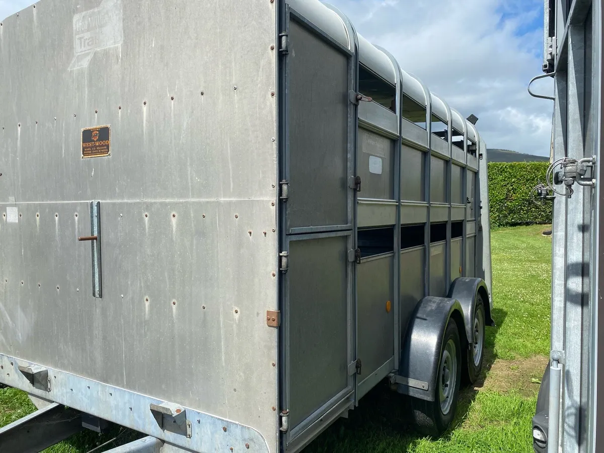 Iforwilliams 12 x 6 livestock trailer - Image 2