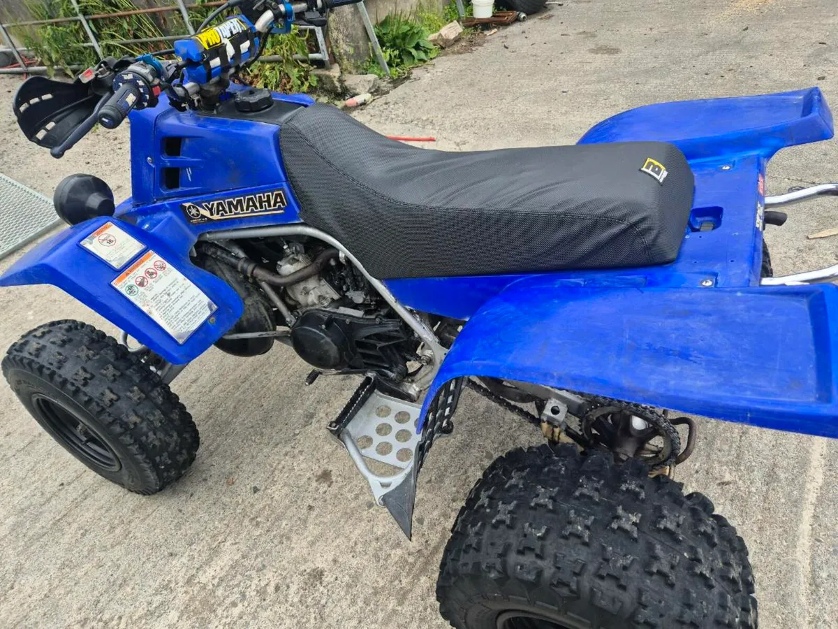 Yamaha banshee - Image 2