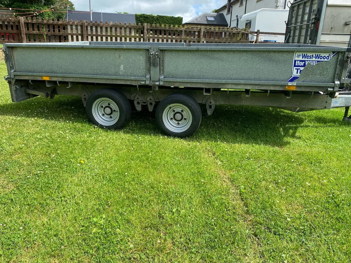 Iforwilliams 12 x 6’6 - Image 2