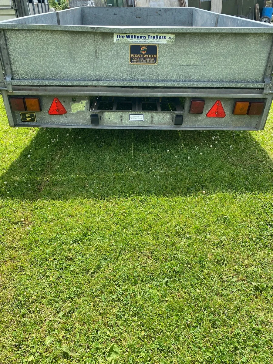Iforwilliams 12 x 6’6 - Image 3