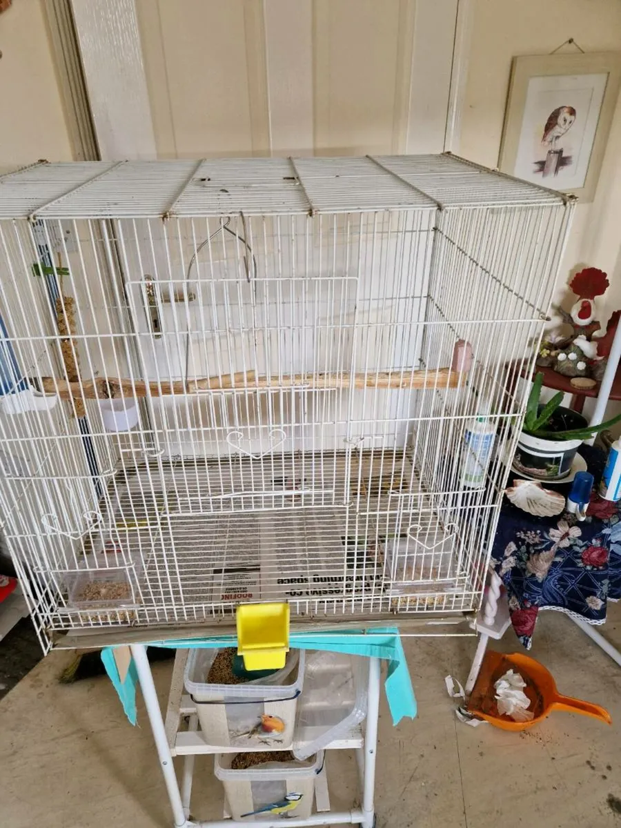 Bird cage - Image 1