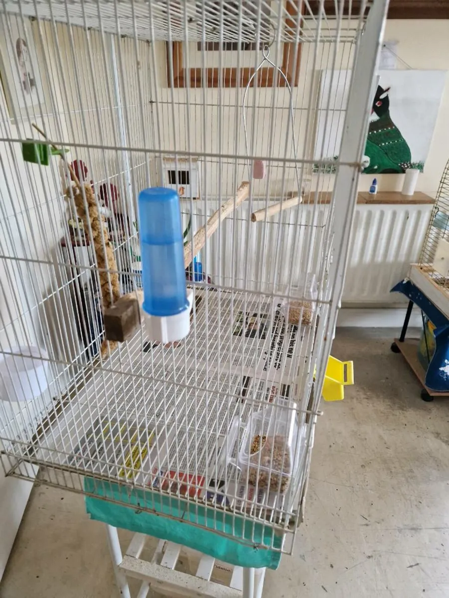 Bird cage - Image 2