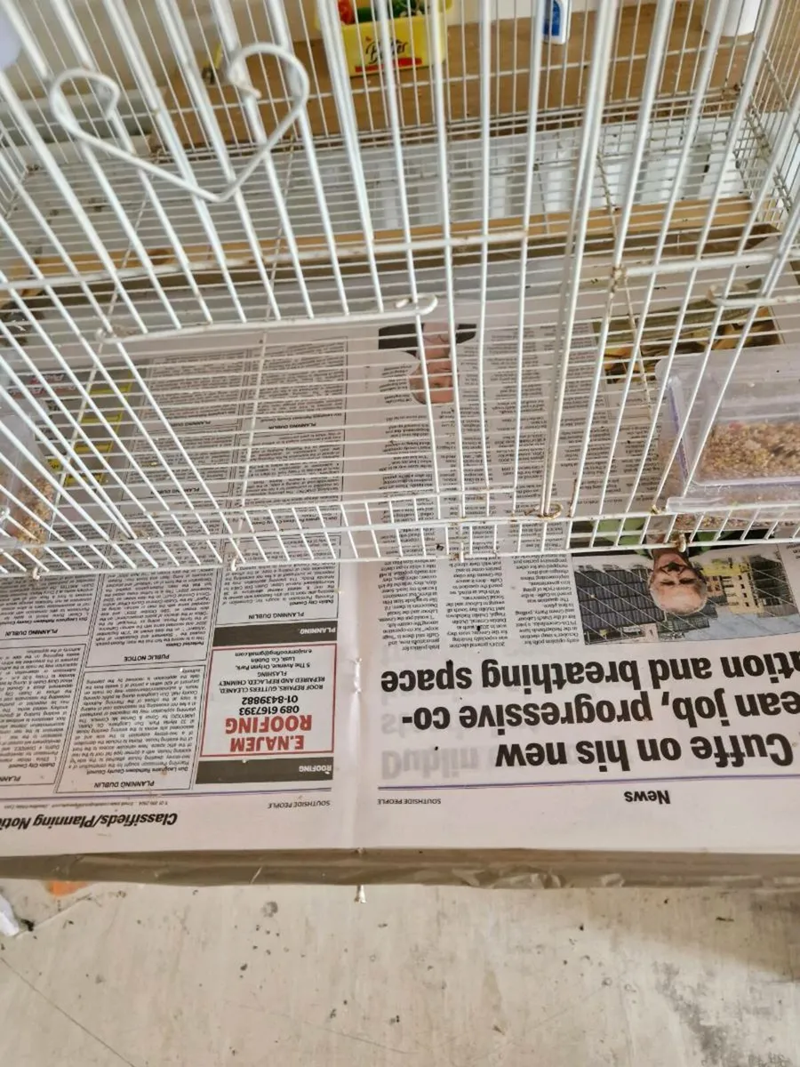 Bird cage - Image 3