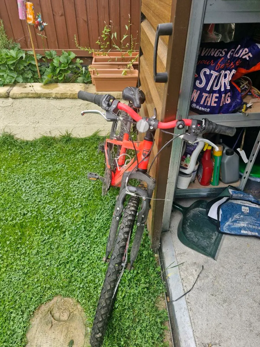 Teens Bicycle - Image 1