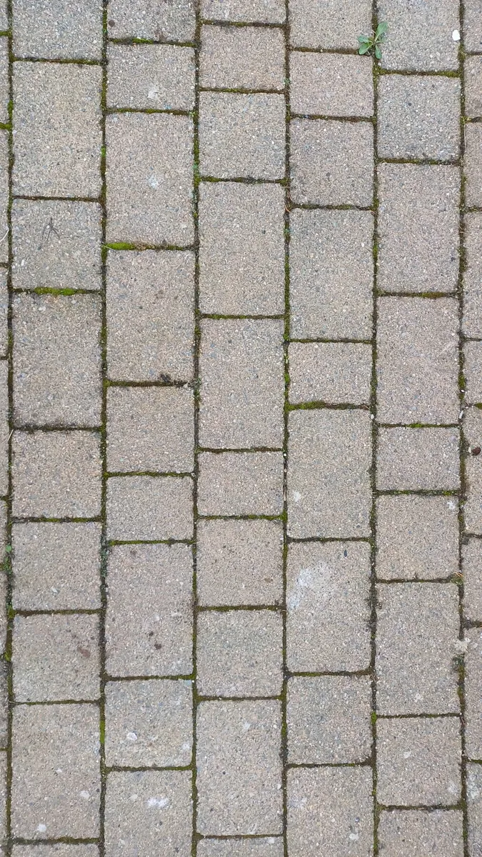 Paving brick for sale - Image 1