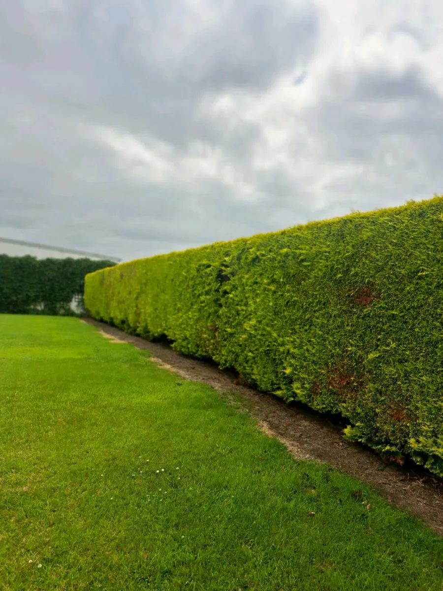 Fencing Landscaping & Maintenance Contractor - Image 3