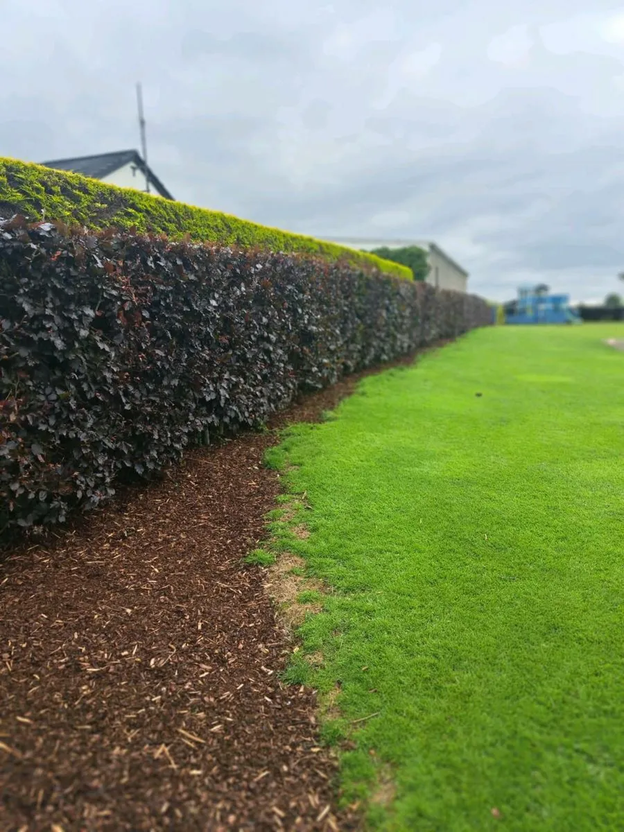 Fencing Landscaping & Maintenance Contractor - Image 4