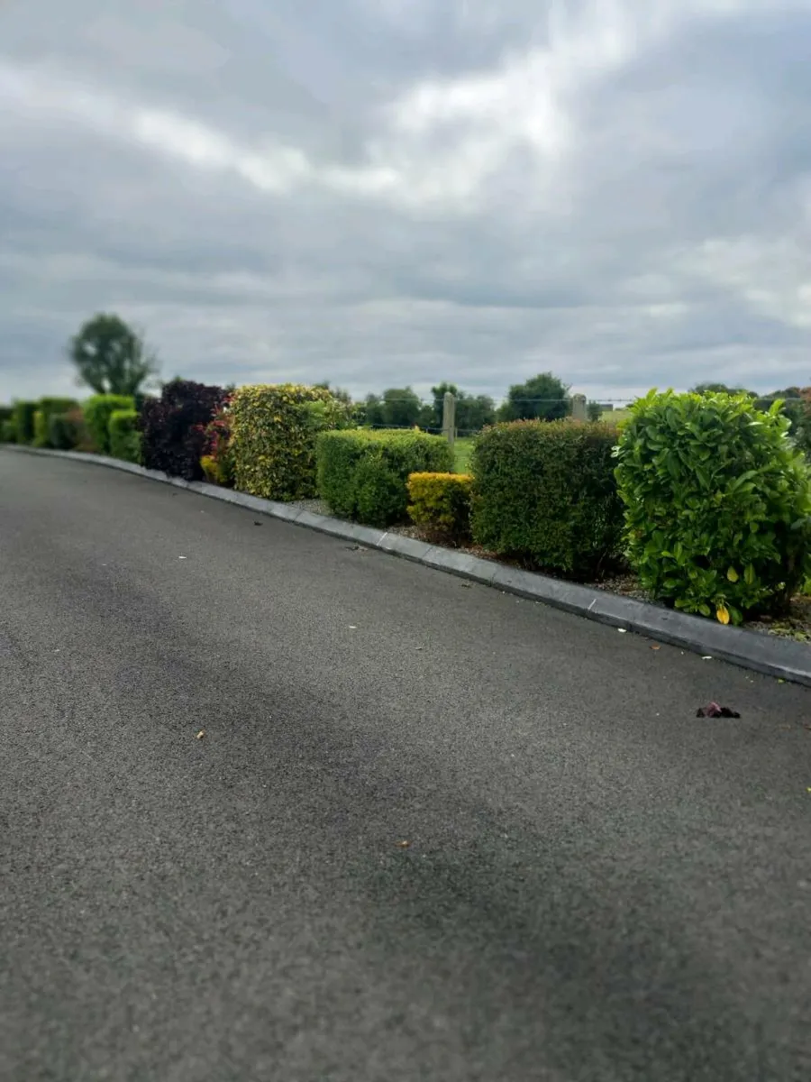 Fencing Landscaping & Maintenance Contractor - Image 4