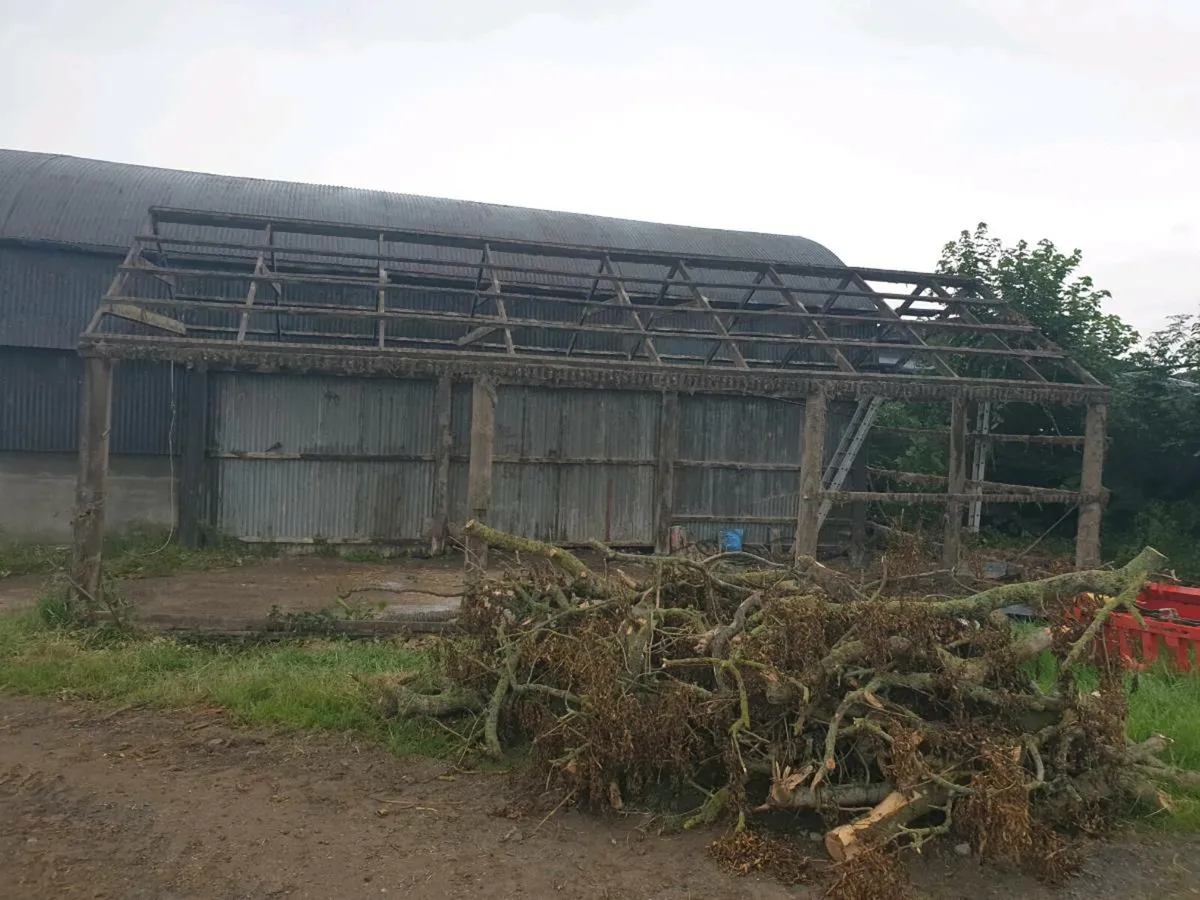 Roof trusses - Image 1