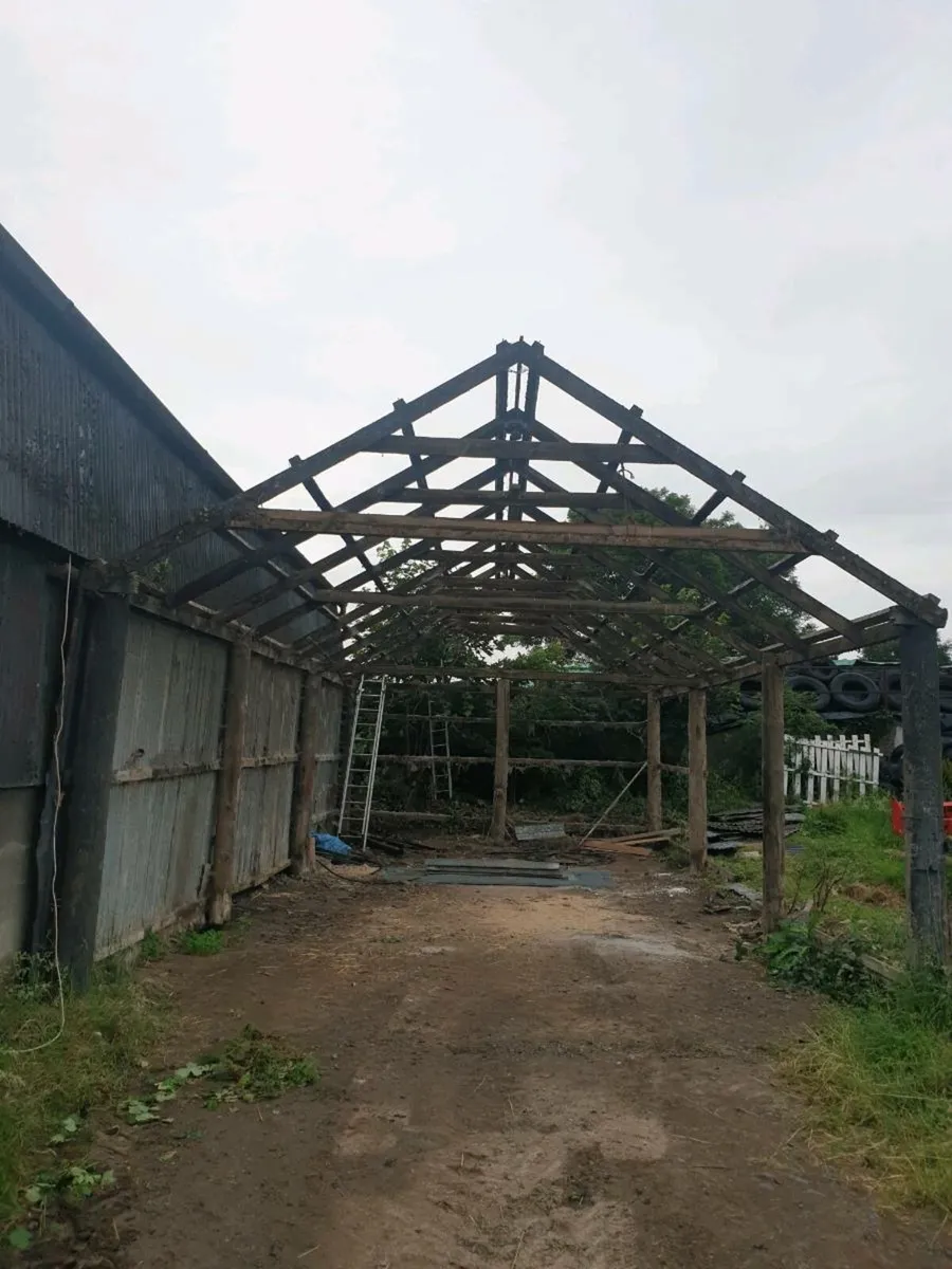 Roof trusses - Image 2