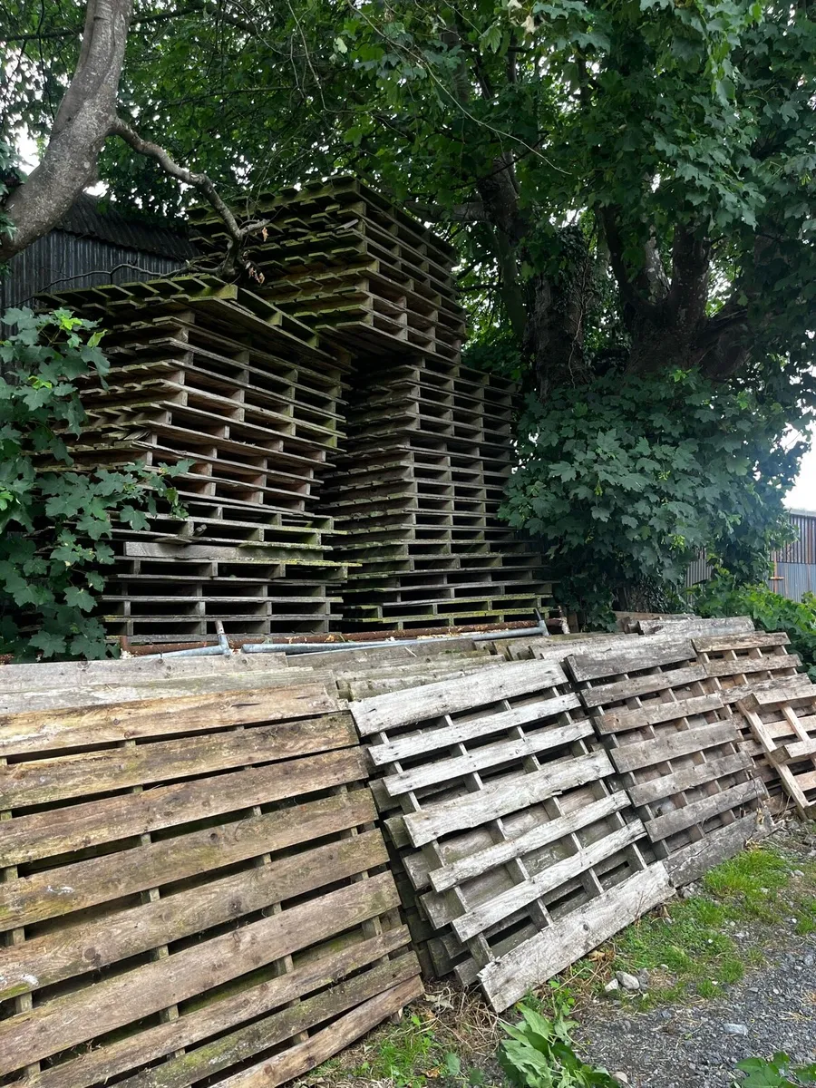 Timber pallets for sale