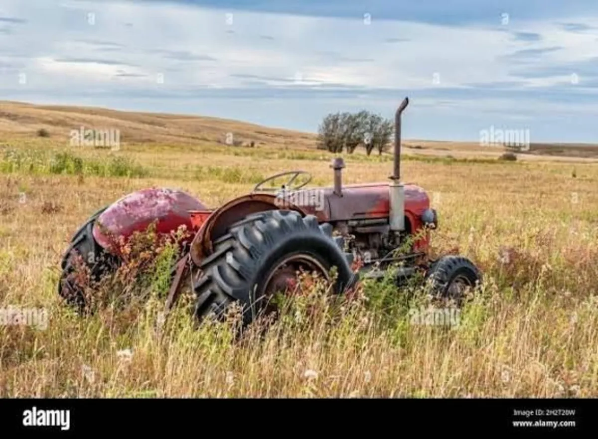 Massey ferguson 165 wanted for Parts - Image 2