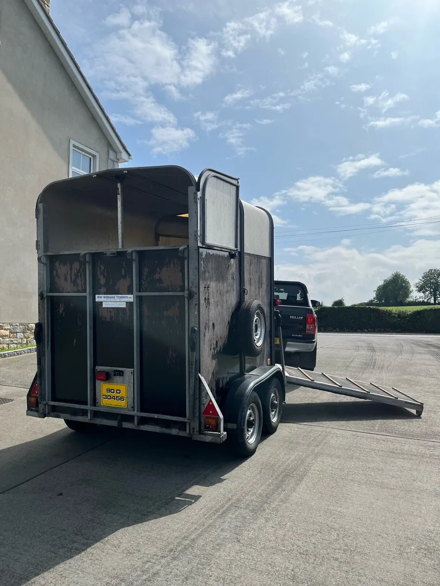 Ifor Williams Horse Box - Image 4