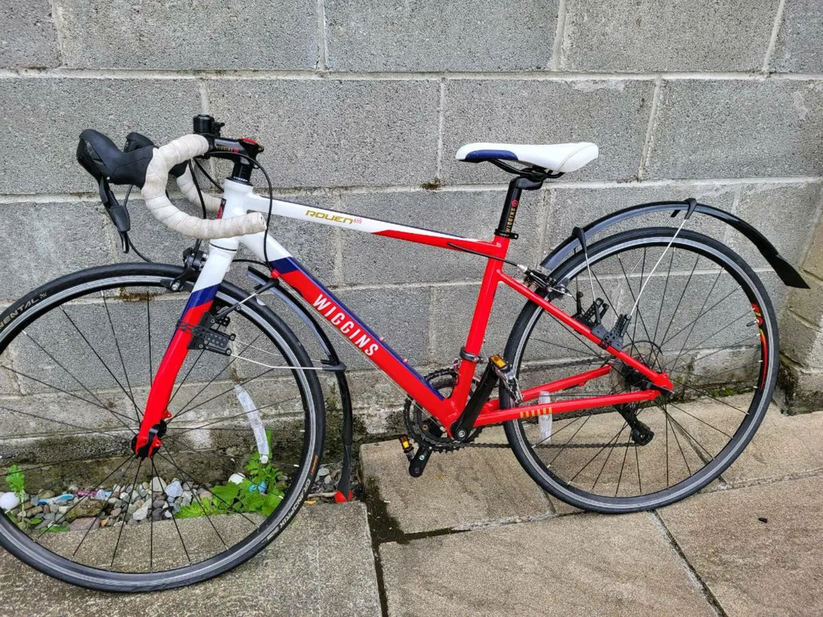 Bicycile - Image 1