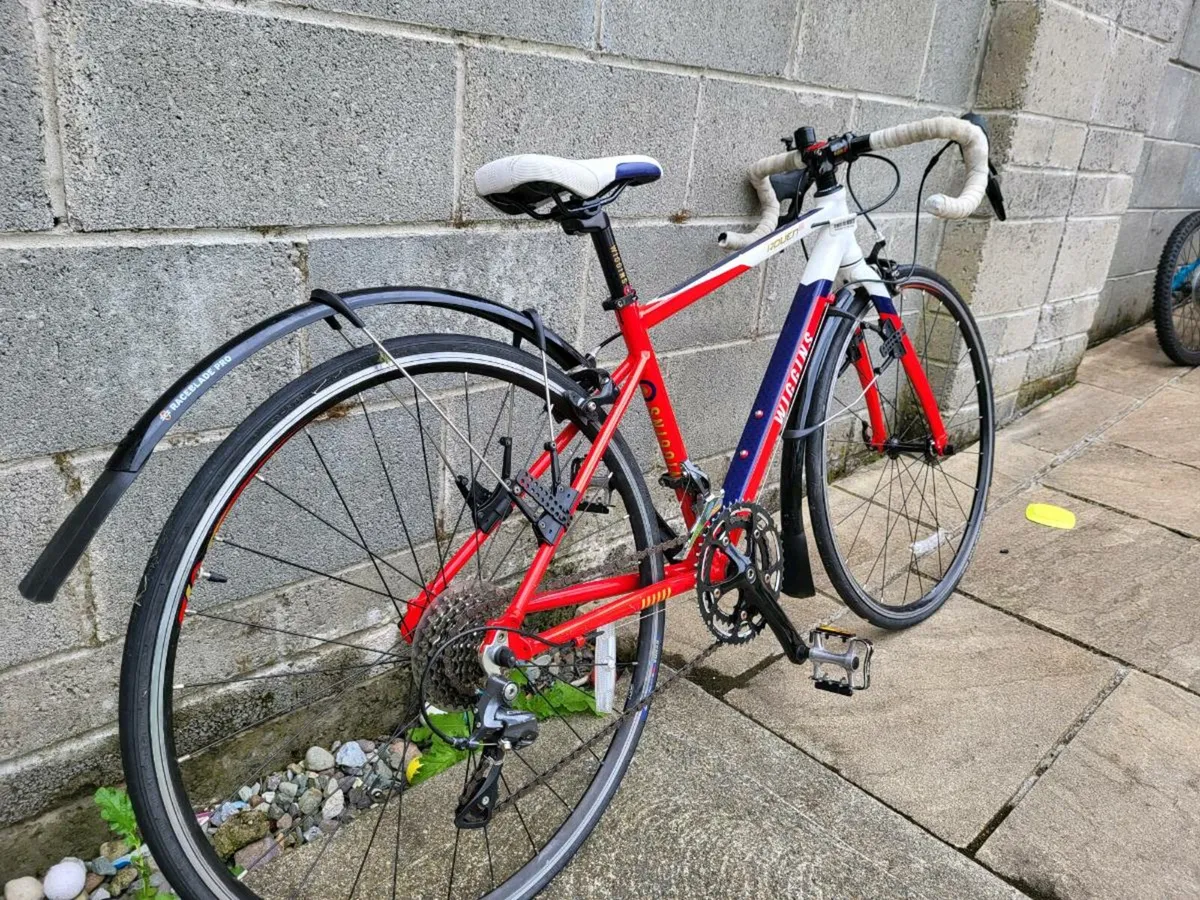 Bicycile - Image 3