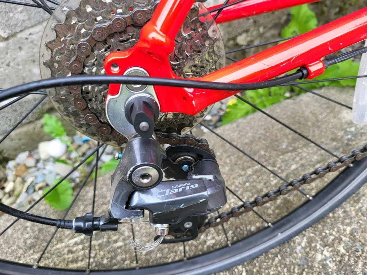 Bicycile - Image 4