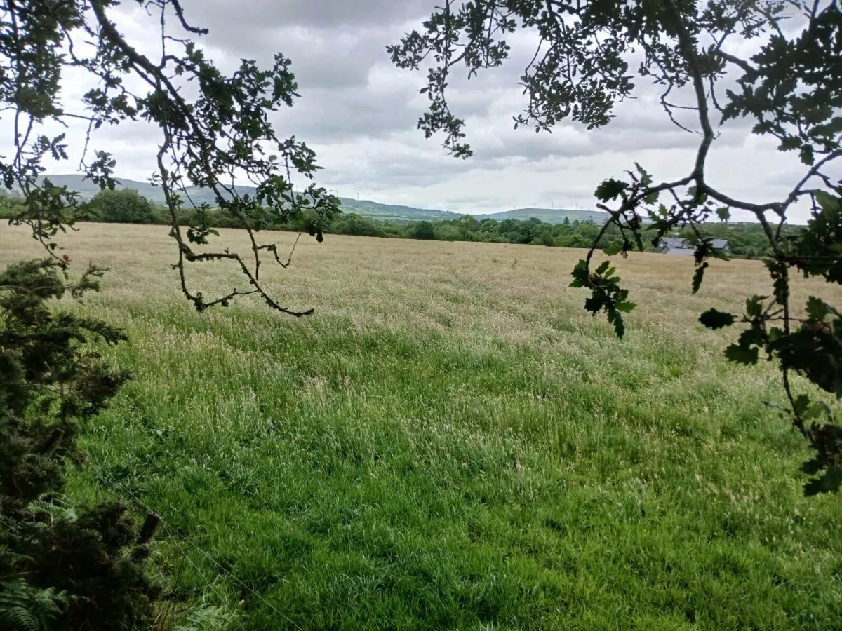 Silage - Image 1