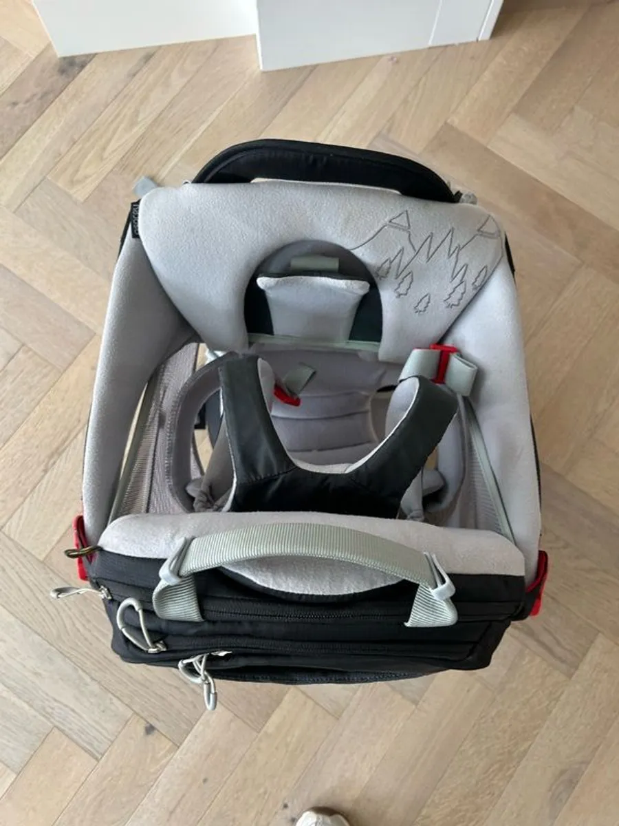 osprey poco child carrier - Image 2