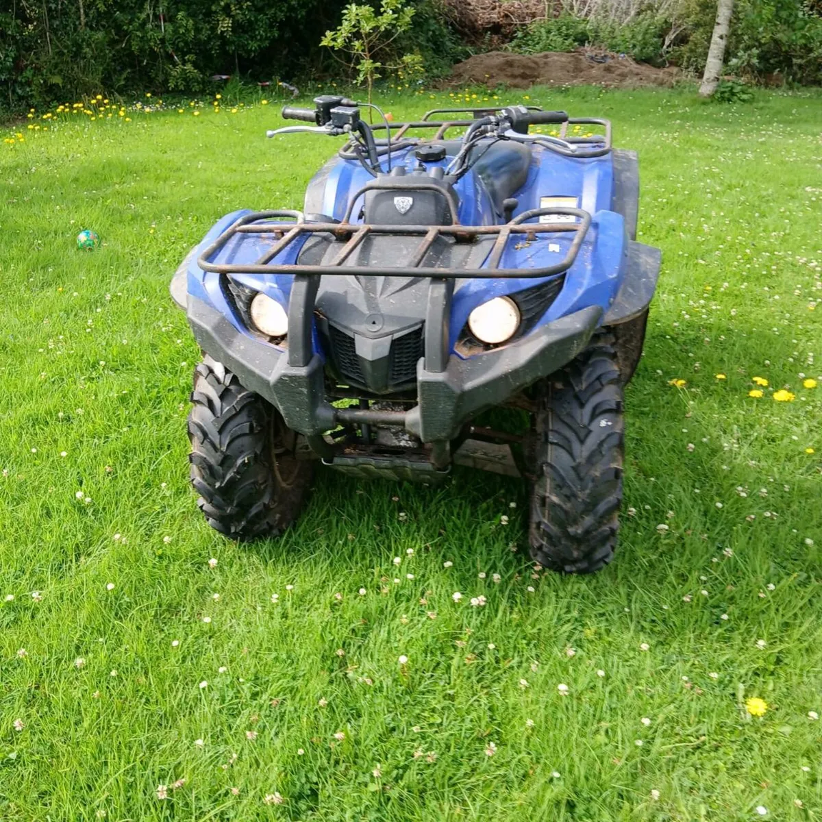Yamaha grizzly 450 - Image 1