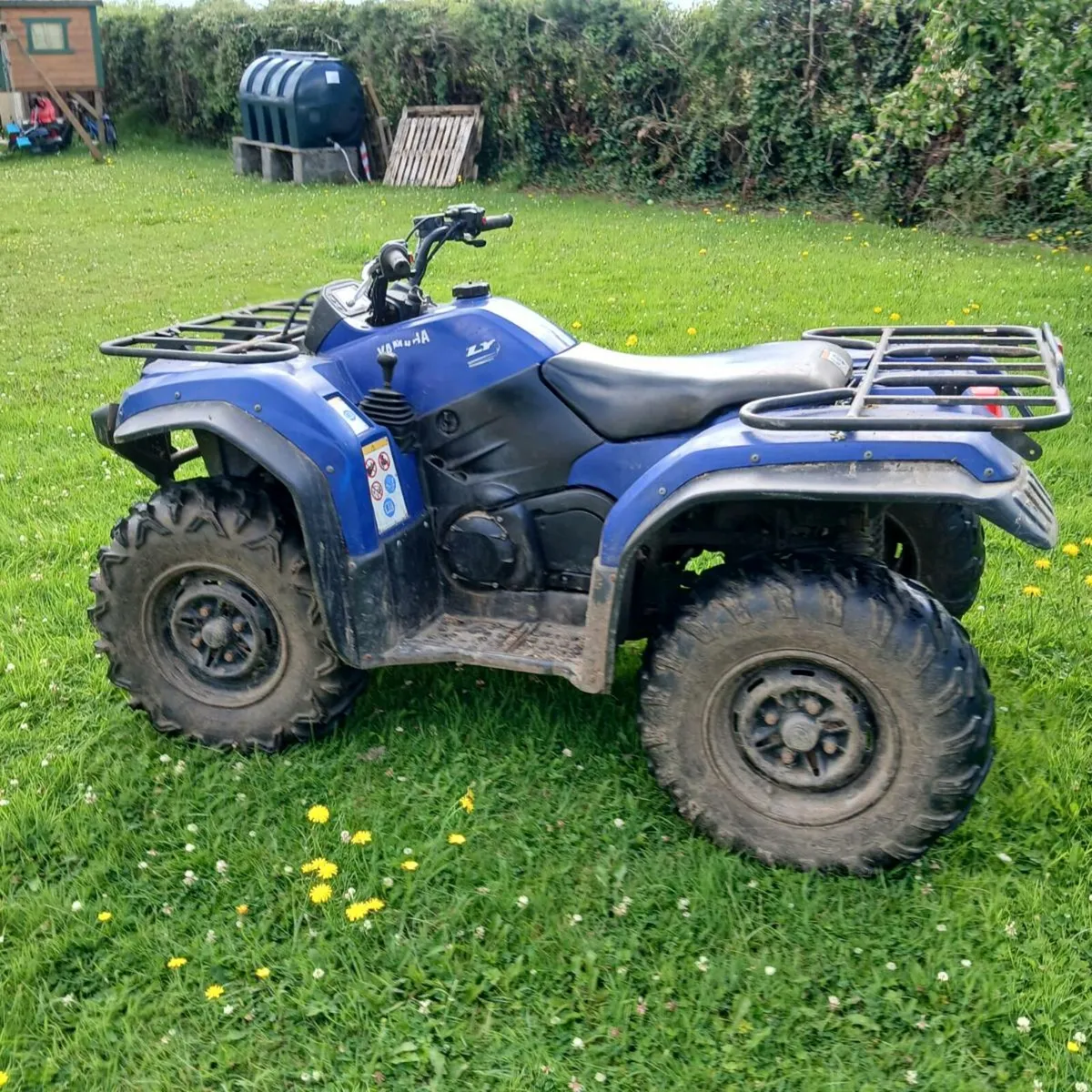 Yamaha grizzly 450 - Image 4