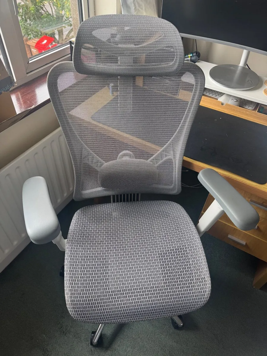 SiHOO Ergonomic Chair - Image 1