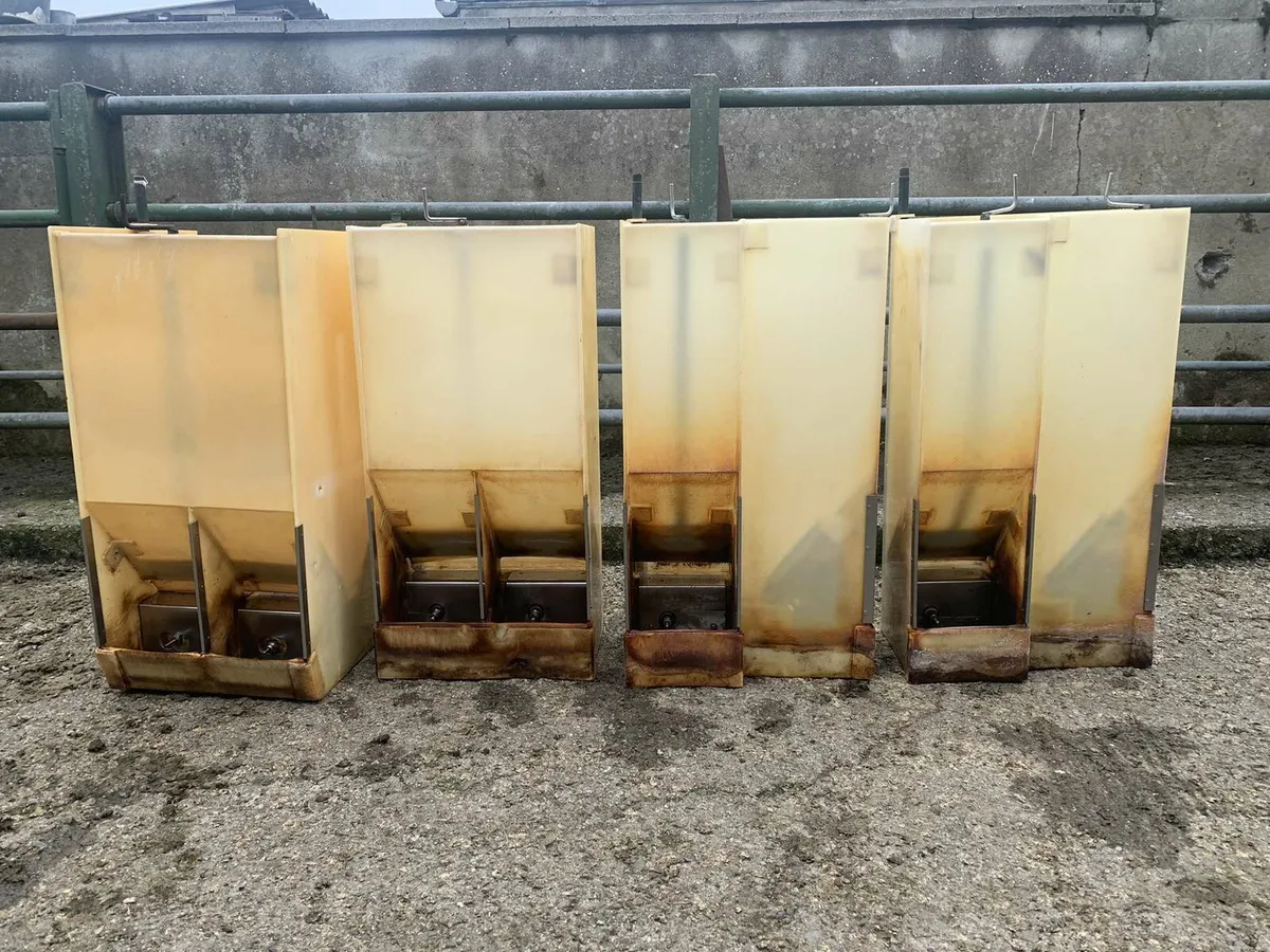 Pig feed hopper - Image 1