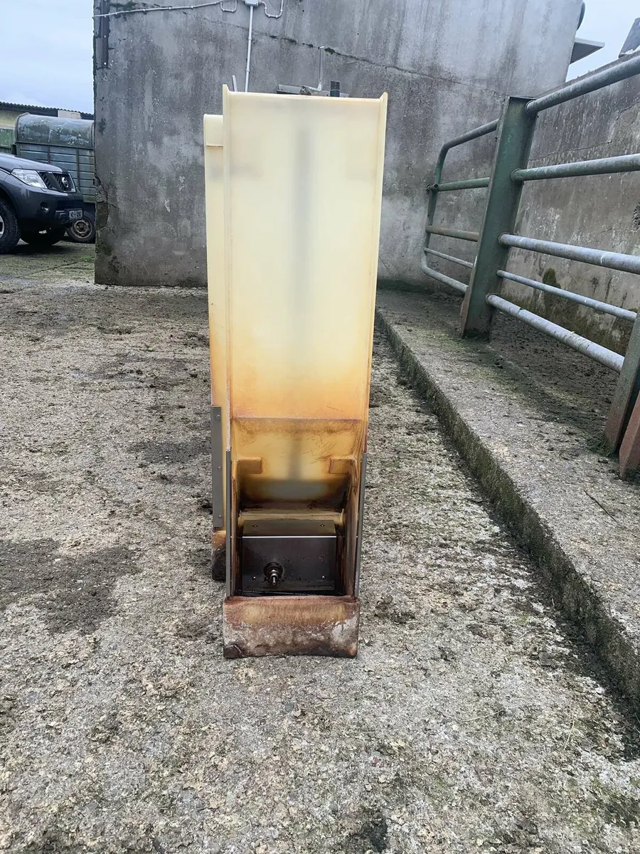 Pig feed hopper - Image 4