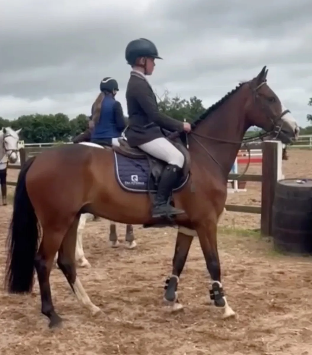 Top track 148 pony - Image 1