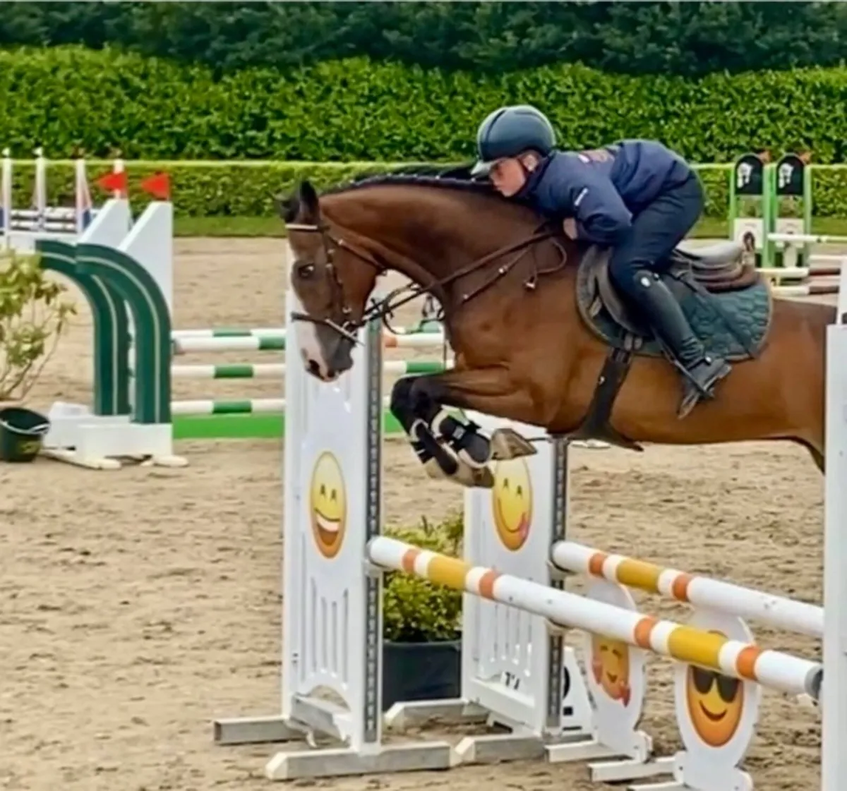 Top track 148 pony - Image 3