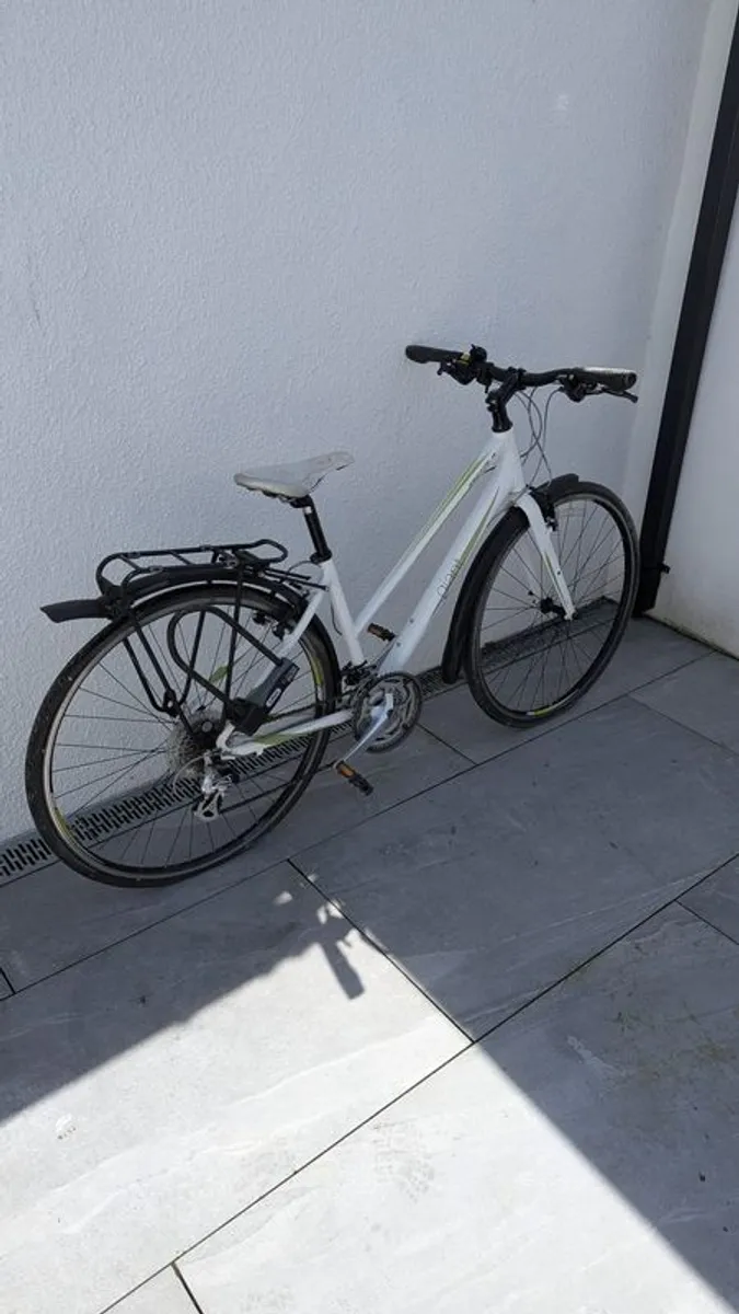 Escape w giant hybrid bike - Image 1