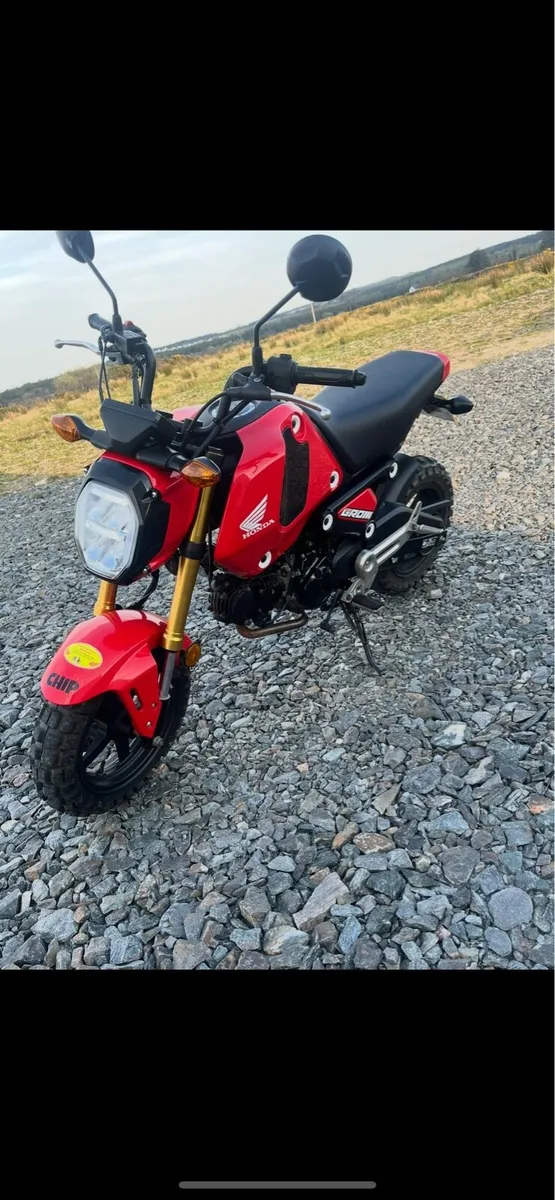 Honda Grom - Image 3