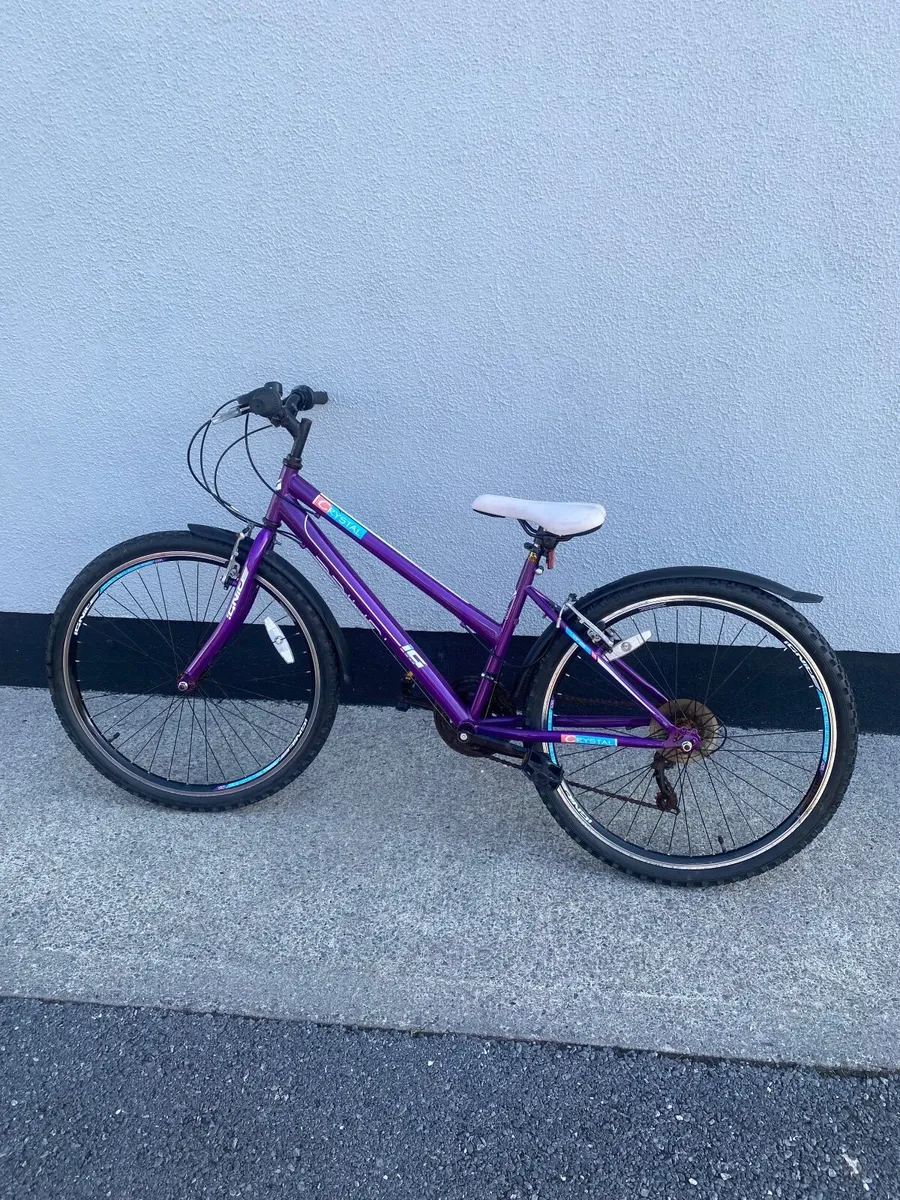 Bike - Image 3