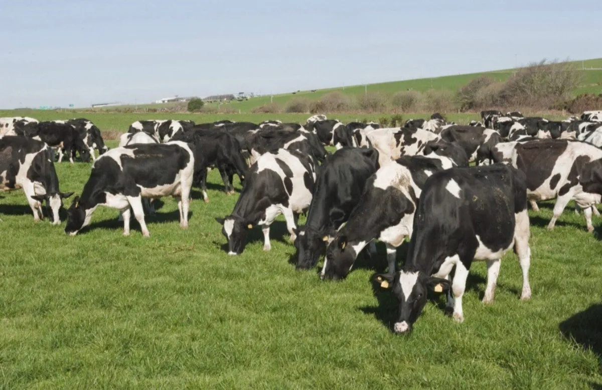 Relief milker