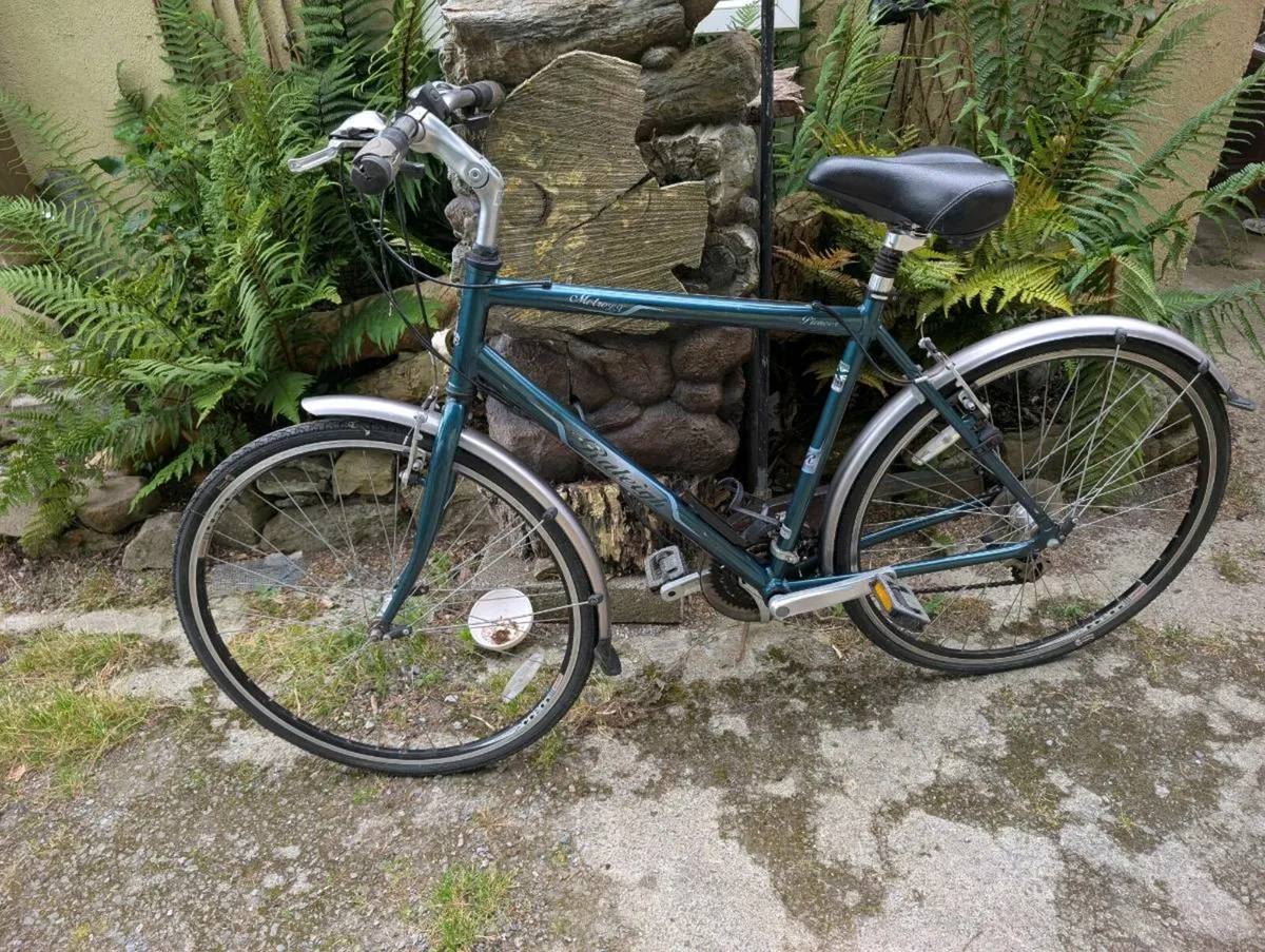 Bike for sale - Image 1