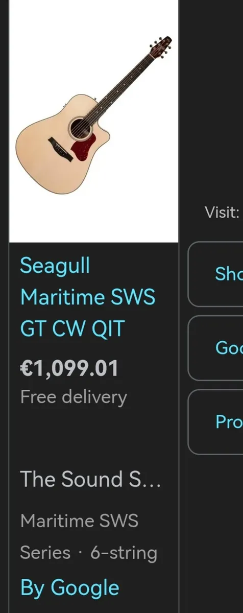 Seagull guitar - Image 4