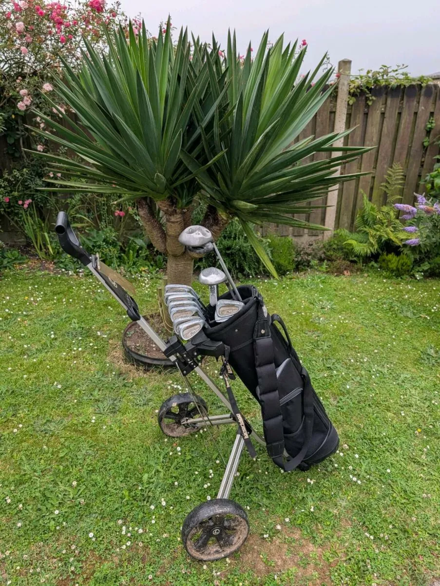 Full set of Golf clubs & trolley need gone tonight - Image 1