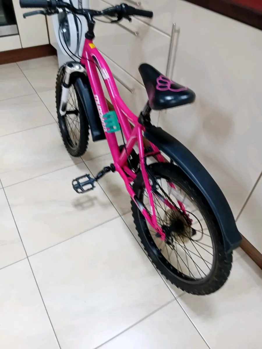 2 GIRLS BIKES 20 INCH WHEELS - Image 1