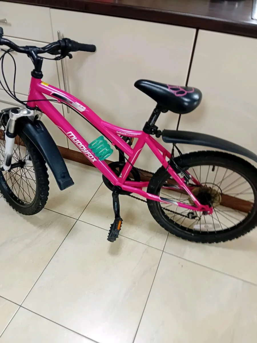 2 GIRLS BIKES 20 INCH WHEELS - Image 2