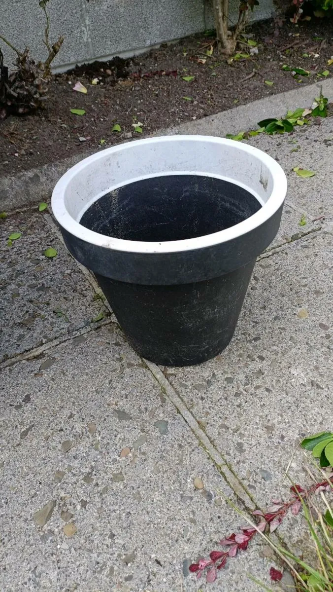 Garden pots - Image 1