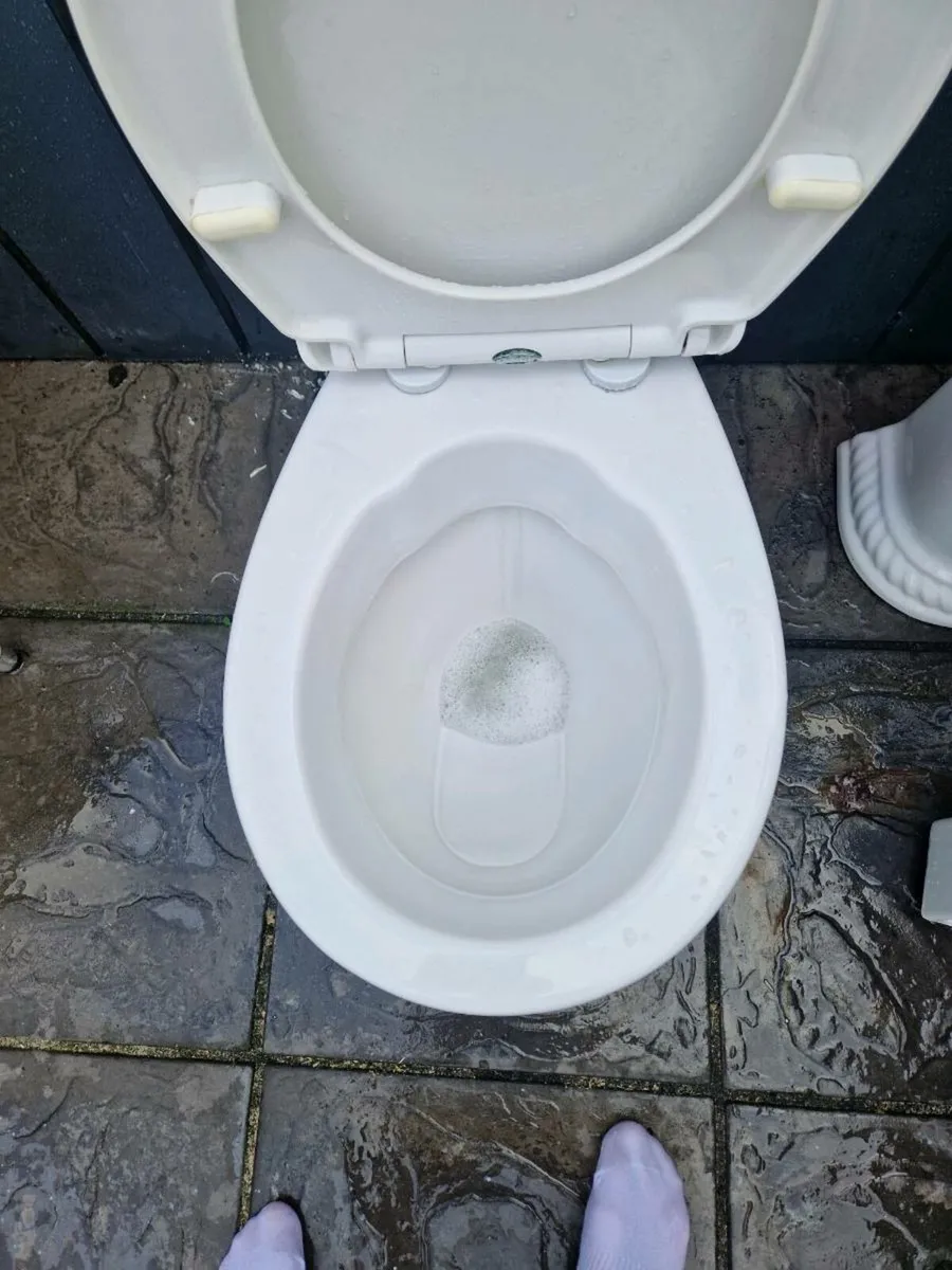Toilet and sink - Image 4