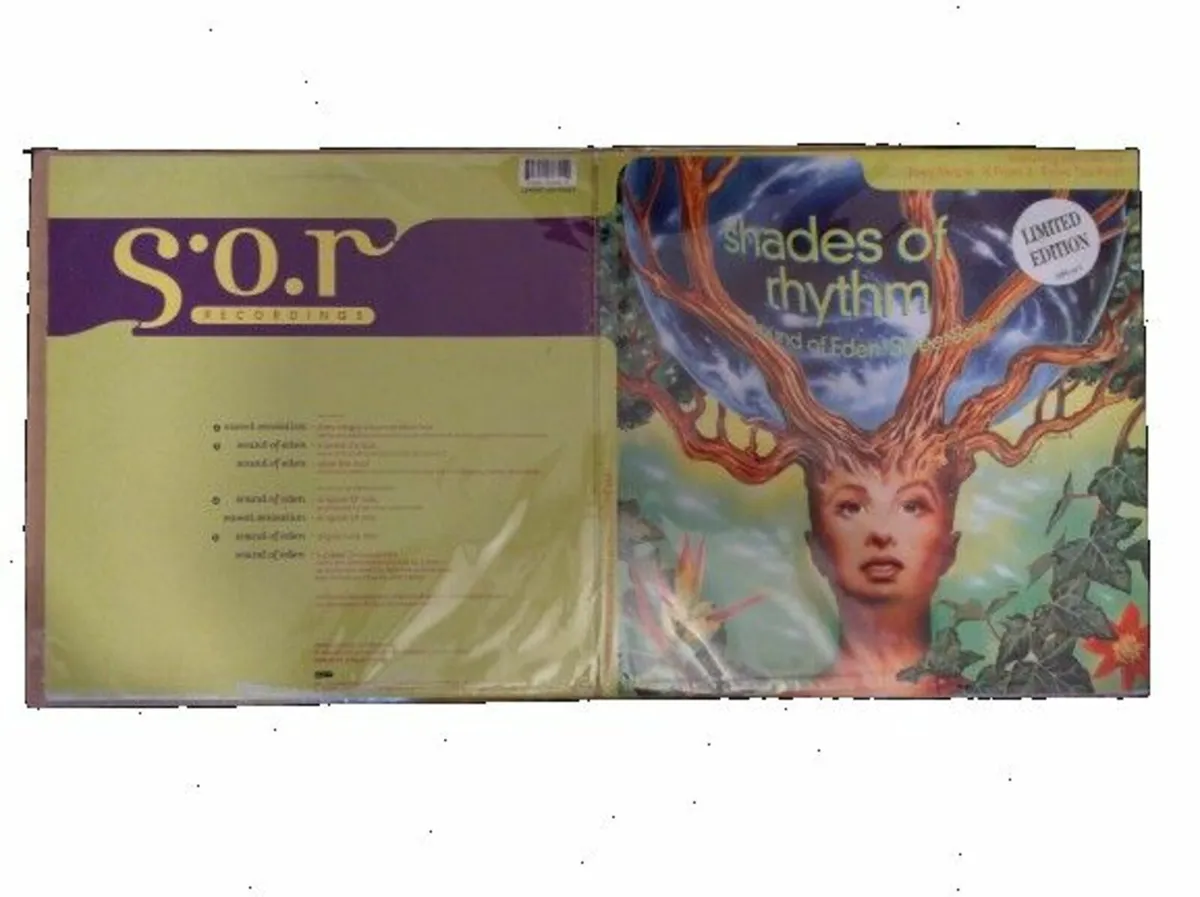 Fold Open Type Gatefold LP Plastic Record Covers! - Image 4