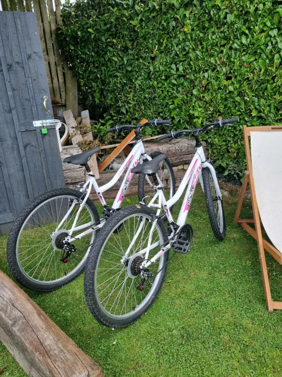 2 bikes - Image 2