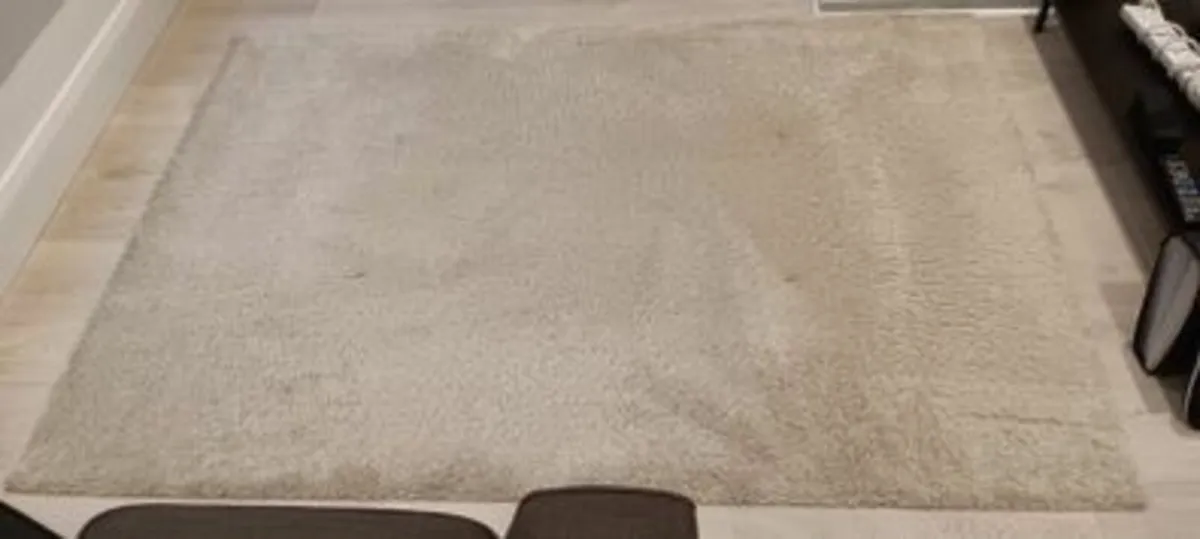 RUG - Image 1