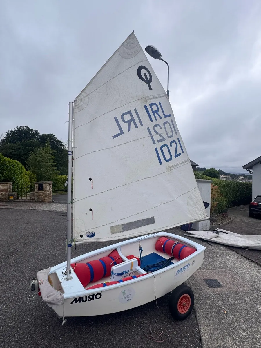 Oppie For Sale - Image 1