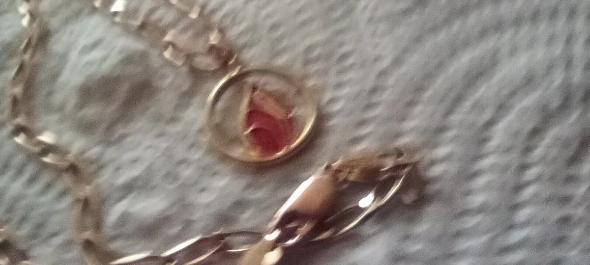 9 CT gold pendant on 20 inch chain - Image 2
