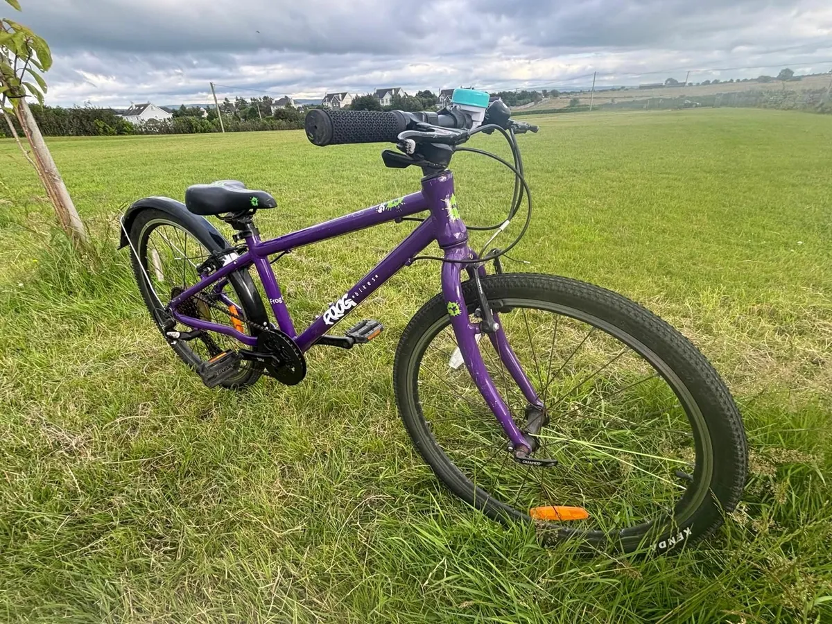 Girls Frog Bicycle-purple - Image 1
