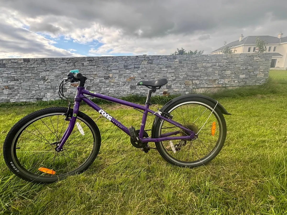 Girls Frog Bicycle-purple - Image 2
